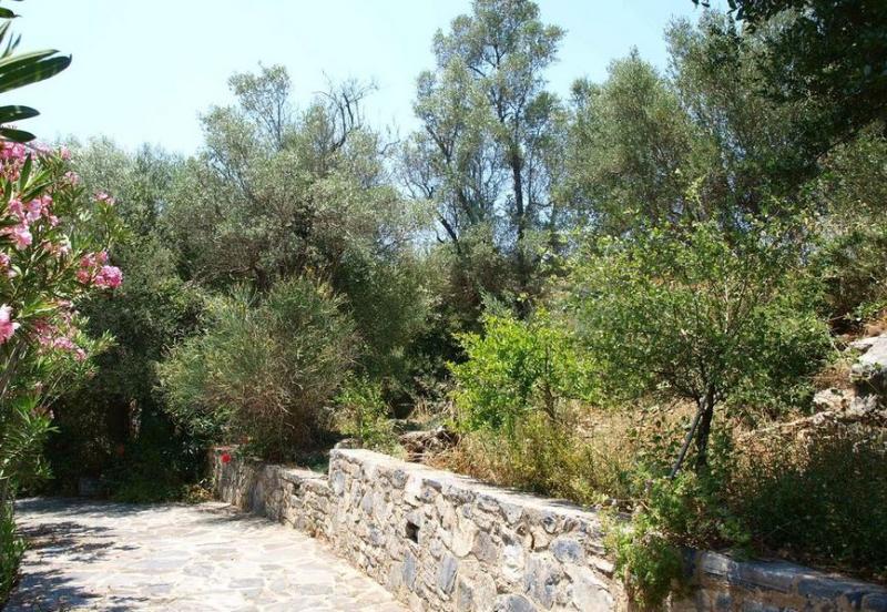 Aposperitis Villas Theodhora Exterior photo